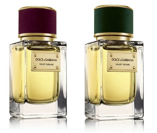 Dolce&Gabbana Velvet Collection
