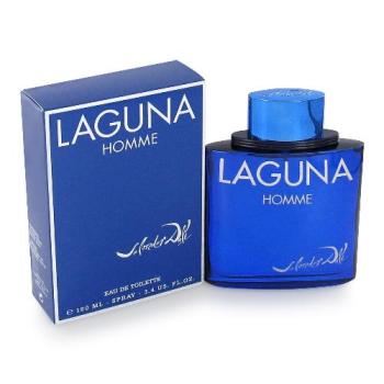 Salvador Dali LAGUNA �� ���� EDT 100 ��