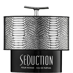 Armaf Seduction Pour Homme парфюм за мъже 100 мл - EDP