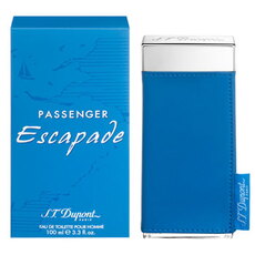 Dupont PASSENGER ESCAPADE мъжки парфюм