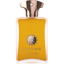 Amouage Overture Man парфюм за мъже 100 мл - EDP