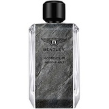 Bentley Momentum Unbreakable Eau de Parfum парфюм за мъже 100 мл - EDP